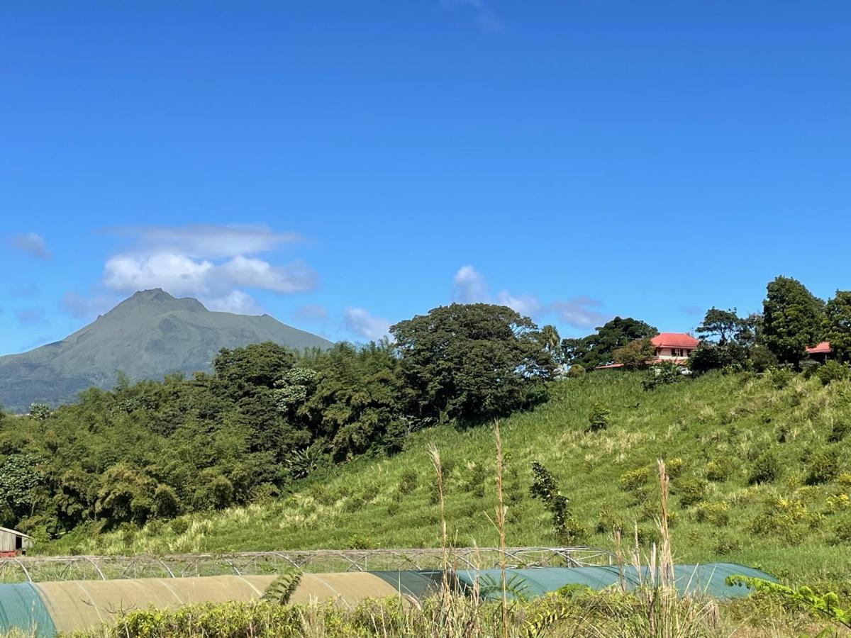 Chambre Et Sdb Privative Ylang Ylang Vue Mont Pelee Dans Maison Partagee Le Morne-Rouge Exterior foto